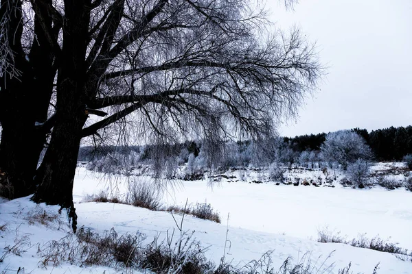 Wunderschöne Winterlandschaft in der russischen Provinz. gemildert — Stockfoto