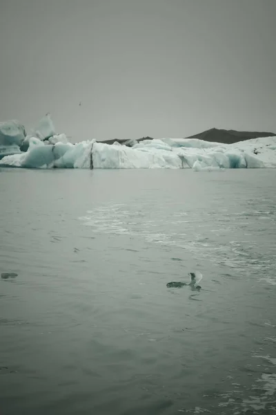 Bizarro gelo floes de Iceberg lagoa jokulsarlon no sul de — Fotografia de Stock
