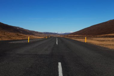 İzlanda 'nın sakin bir bahar manzarasında yol