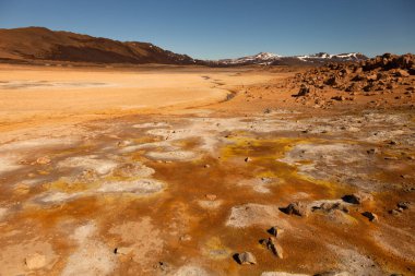 İzlanda 'nın çok renkli güzel bahar manzarası