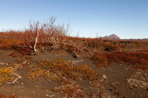 Övergivna dramatiska landskapet på Island — Stockfoto