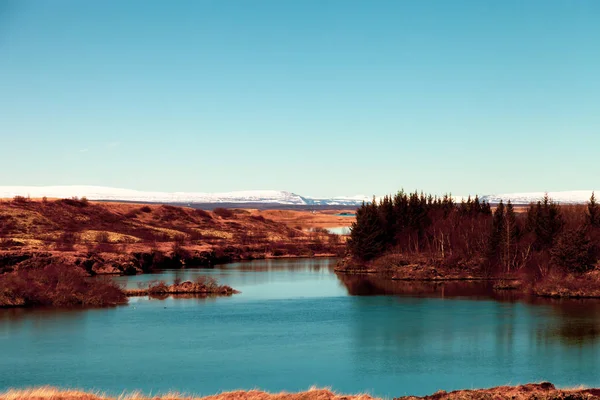 Pusty, dramatyczny krajobraz Islandii. Warzywa — Zdjęcie stockowe