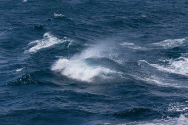 İzlanda'nın güneyinde fırtınalı soğuk deniz dalgaları