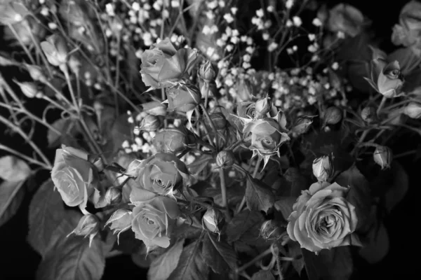 Magnifique bouquet de roses de brousse et de gypsophila sur un fond sombre — Photo