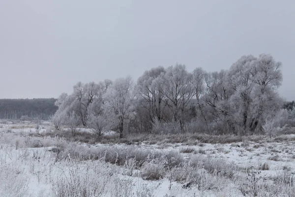 Beautiful winter landscape in russian province — Stock Photo, Image