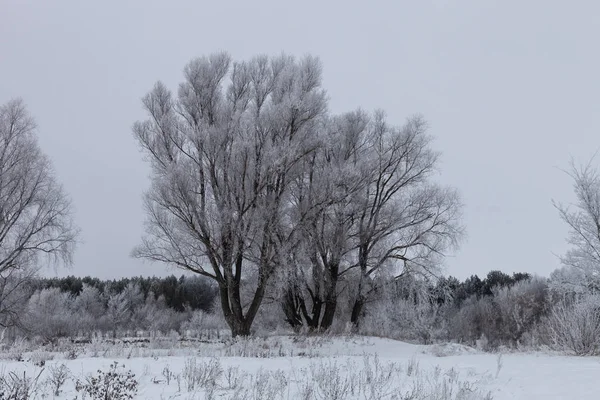 Wunderschöne Winterlandschaft in der russischen Provinz — Stockfoto