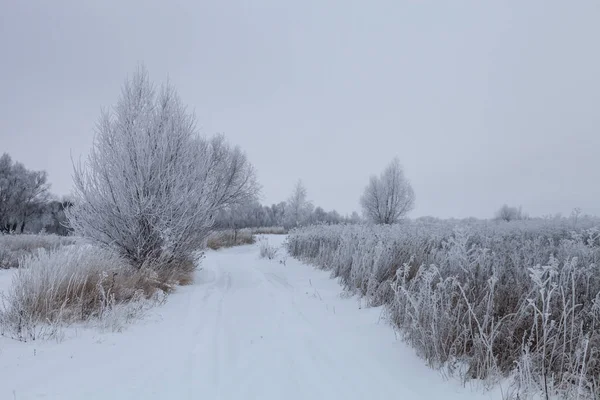 Beautiful winter landscape in russian province — Stock Photo, Image