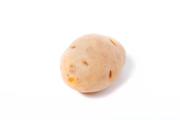 Ung potatis på ljus bakgrund — Stockfoto