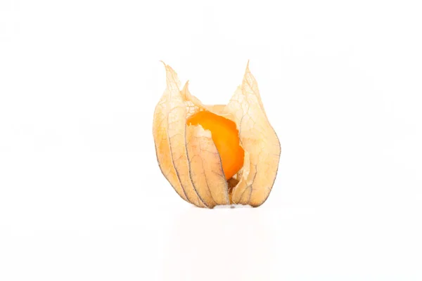 Physalis fresco sobre fundo claro — Fotografia de Stock