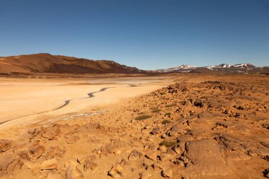 İzlanda 'nın çok renkli güzel bahar manzarası