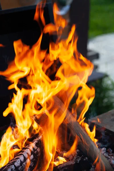 La quema de troncos de madera, cocinar en el fuego, noche cálida, brilla en th — Foto de Stock