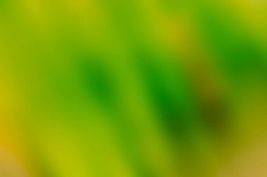 Çok renkli yanıp söner gibi parlak renkli bulanık fırça darbeleri 