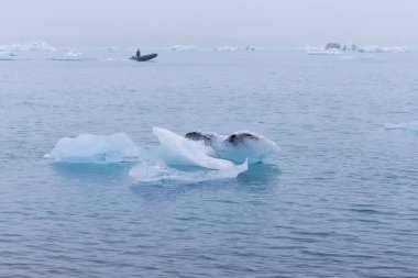 Iceberg 'in güneyindeki Jokulsarlon gölünün tuhaf buz kütleleri. 