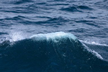 Beyaz sorguç dalga deniz. Seçici odak. Sığ derinliği bes