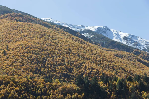 Волнистые горы и лес возле деревни Ушгули в Сване — стоковое фото