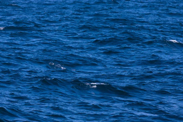 Surface of a calm blue sea. Selective focus. Shallow depth of fi — Stock Photo, Image