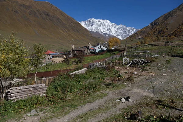Θέα από το χωριό της Ushguli, σε ένα όμορφο φθινόπωρο τοπίο w — Φωτογραφία Αρχείου