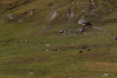 Picturesque mountainsides near the village of Ushguli in Svaneti. Georgia.