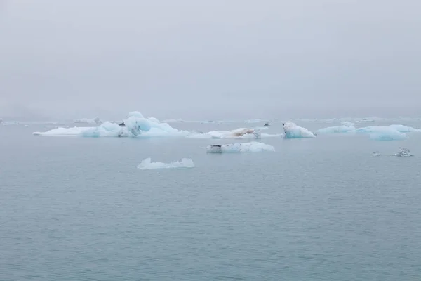 Ledová Laguna Jokulsarlonem Jihu Islandu — Stock fotografie