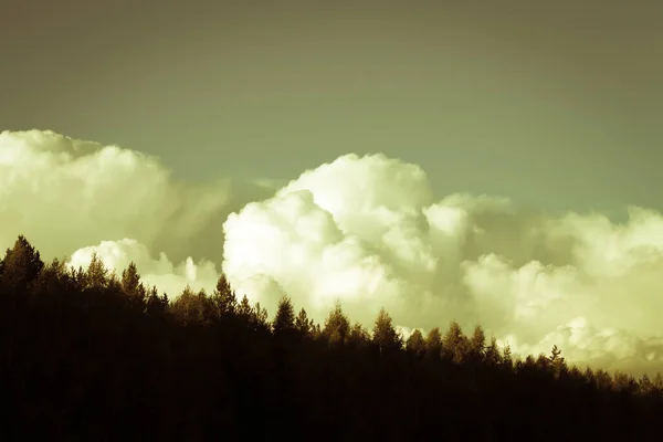Piękne Białe Chmury Naturalnym Tle Błękitnego Nieba Warzywa — Zdjęcie stockowe