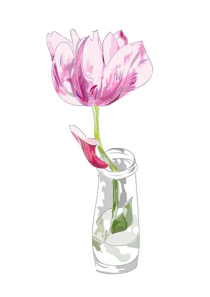 Pink tulip in the glass jar. — Stock Vector