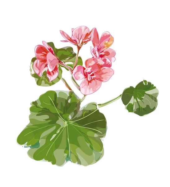 Itır vektör beyaz arka plan üzerinde.