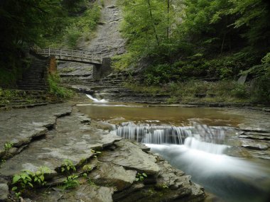 Yürüyüş yolu Stony Brook State Park, NY.