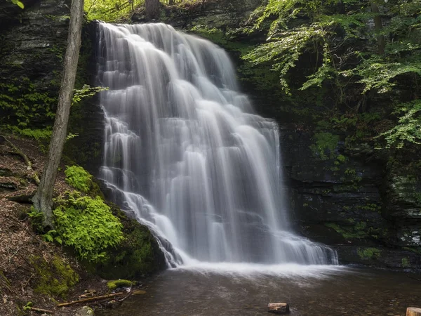 Cascade Dans Parc Bushkill — Photo