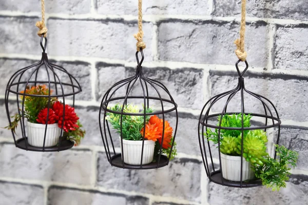 Decoração de interiores e decoração de jardim. Três vasos com flores exuberantes coloridas em suportes de metal pendurado contra a parede . — Fotografia de Stock