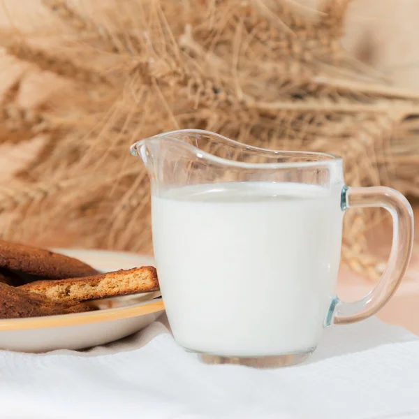 Gezond eten, ontbijt, ontbijtgranen. Verse melk in een glazen kan en havermoutkoekjes op tafel, een armvol maïsoren op een perzikkleurige achtergrond. Een uitgebalanceerd dieet, proteïne en koolhydraten — Stockfoto