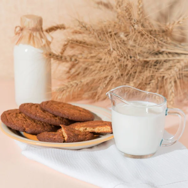 Healthy food, breakfast, cereal snack. Fresh milk in a glass jug and oatmeal cookies on the table, an armful of ears of corn on a peach color background. A balanced diet, protein and carbohydrates — Stock Photo, Image
