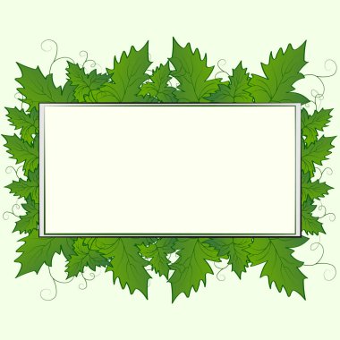 Soyut bahar yazı, üzüm yapraklı doğal çiçek arkaplanı, bej arkaplan üzerinde fotokopi alanı olan çerçeve şablonu için yeşil sarmaşık yaprakları, boş boş, etiket poster tasarımı