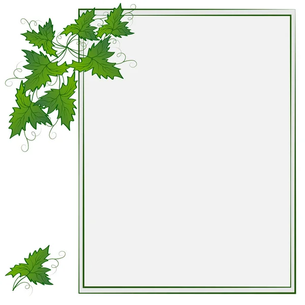 Abstract Zomer Natuurlijke Bloemenachtergrond Met Druivenbladeren Groene Klimop Gebladerte Met — Stockfoto