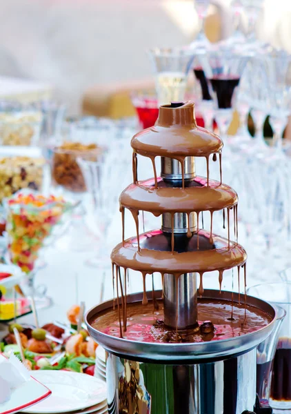 Recepción con fuente de chocolate — Foto de Stock