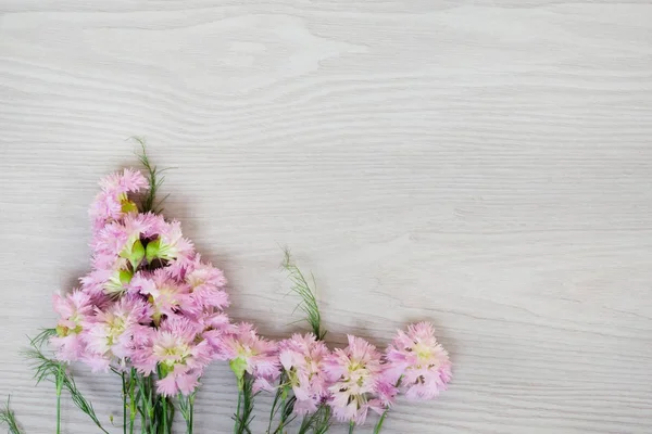 Üzerinde gri ahşap arka plan Bahçe çiçek — Stok fotoğraf
