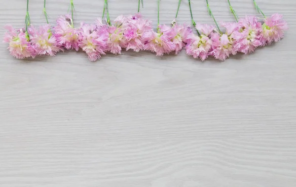 Flores cor de rosa em fundo de madeira cinza — Fotografia de Stock