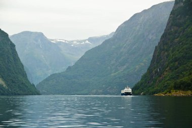 Flam, Norveç Fiyordu Yüzme liner cruise