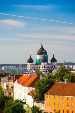 Alexander Nevsky Cathedral, Ortodoks bir kateter ile Cityscape görünümü