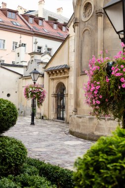 Ukrayna, Lvov 'un antik kesiminde rahat bir bahçe. Ancinet binalar, dönüm noktaları, insan yok. Tarihi binalar, manastır, dış mekan kavramı.