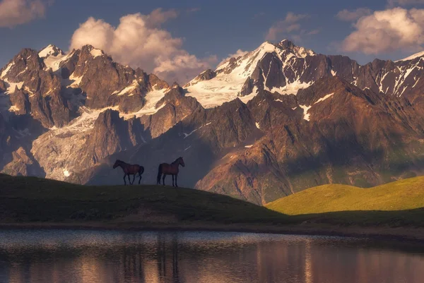 Πανέμορφα άλογα στέκονται πάνω από μια ορεινή λίμνη στο παρασκήνιο των βουνών — Φωτογραφία Αρχείου