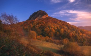 Dağların sonbahar manzarası renkli ormanlarla dolu.