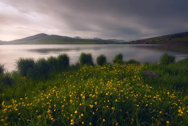 Warmer sonniger Abend am Bergsee, mit grünem Gras und Blumen — Stockfoto