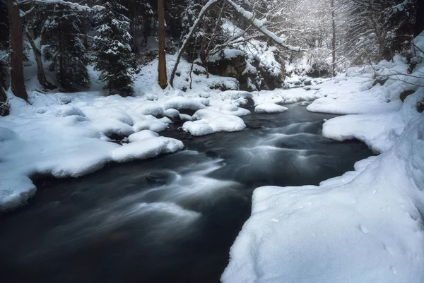 Řeka protékající Les v zimě — Stock fotografie