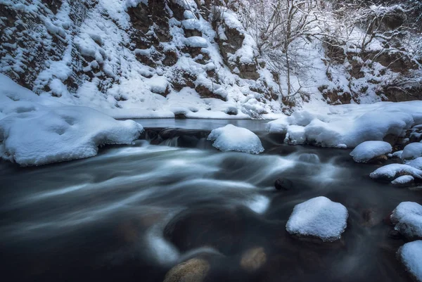 Floden flyter genom en skog i vinter — Stockfoto