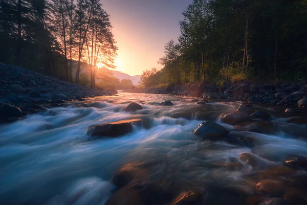 Bellissimo fiume veloce nella foresta di montagna all'alba — Foto Stock