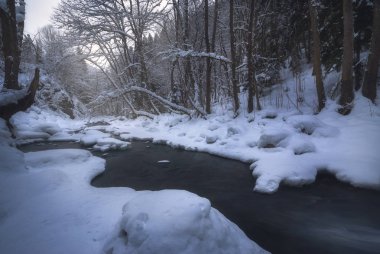 Bir orman yoluyla kışın akan nehir