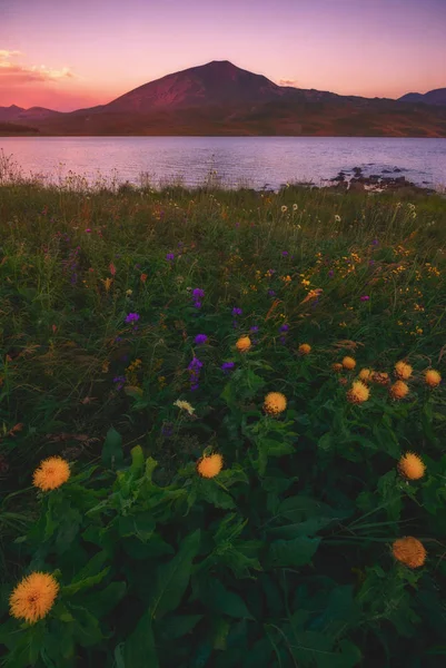 Berglandschaft mit See und Wiesenblumen — Stockfoto