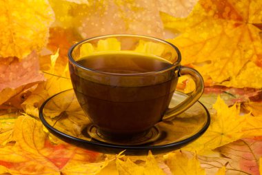 Sonbahar yapraklı kahve kupası sonbahar arka planında. Stok fotoğrafı, kapat.