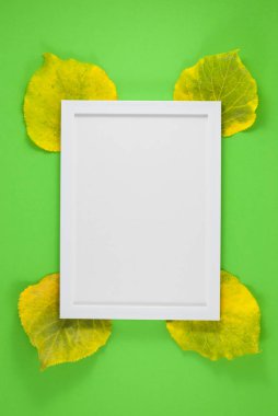 Sonbahar kompozisyonu. Fotoğraf çerçevesi, yeşil arkaplanda yapraklar. Düz konum, üst görünüm, kopyalama alanı