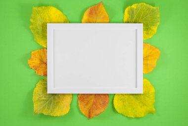 Sonbahar kompozisyonu. Fotoğraf çerçevesi, yeşil arkaplanda yapraklar. Düz konum, üst görünüm, kopyalama alanı